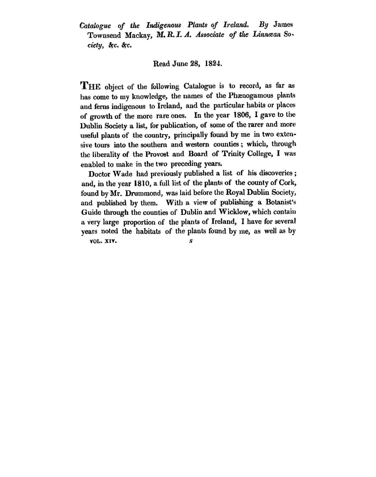 Бедренец горичниколистный: выращивание, сбор и применение